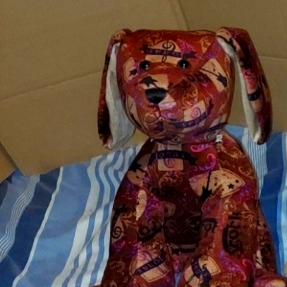 Build a Bear Jonas Brothers Dog